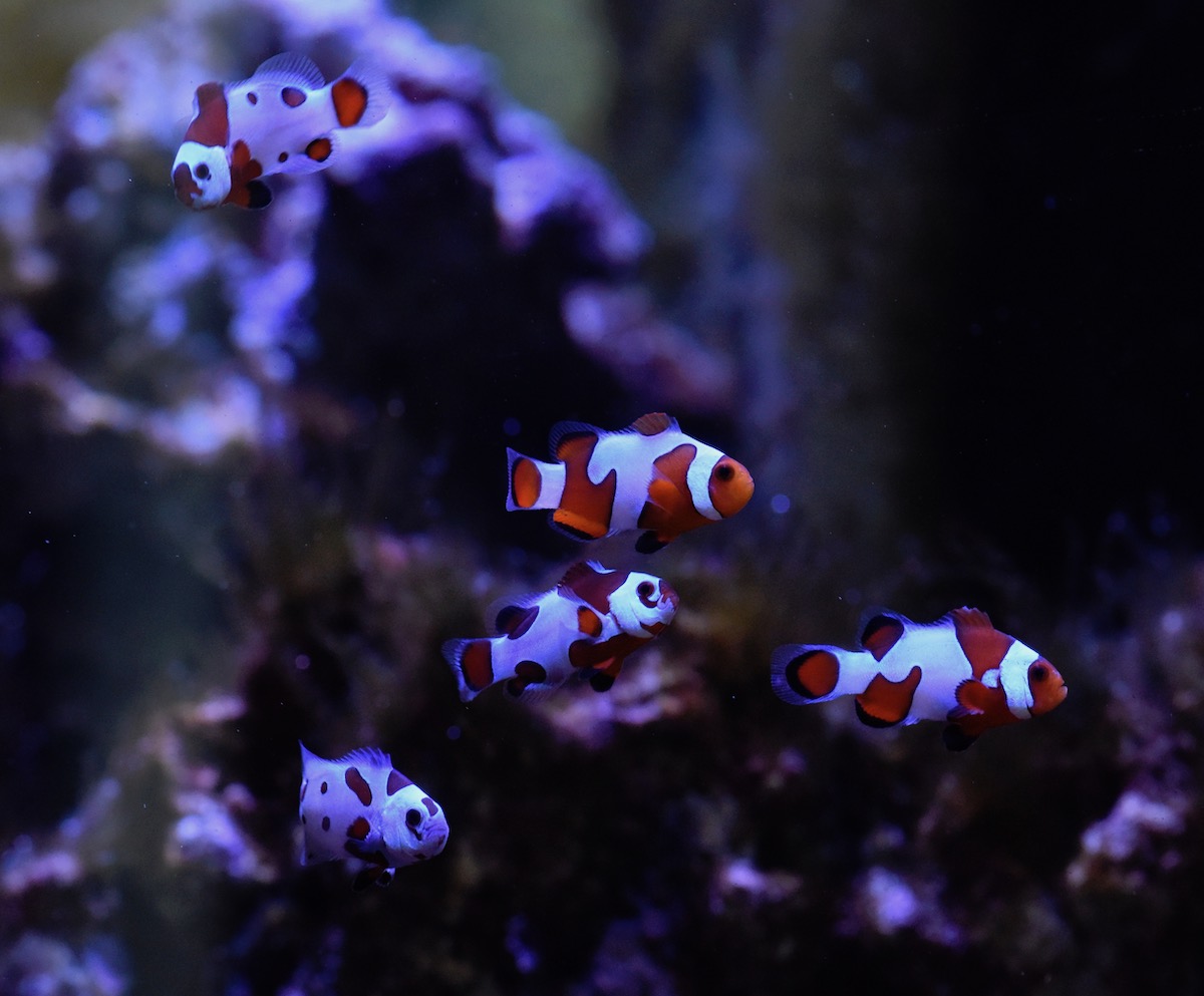 DSC_0837.jpeg