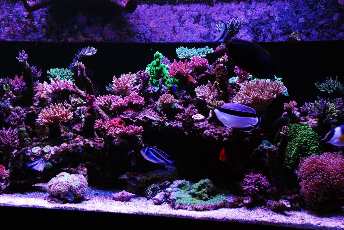 DSC_0856.JPG