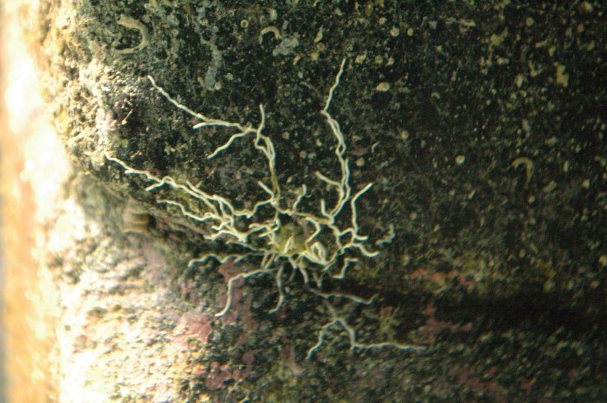 DSC_0881.JPG