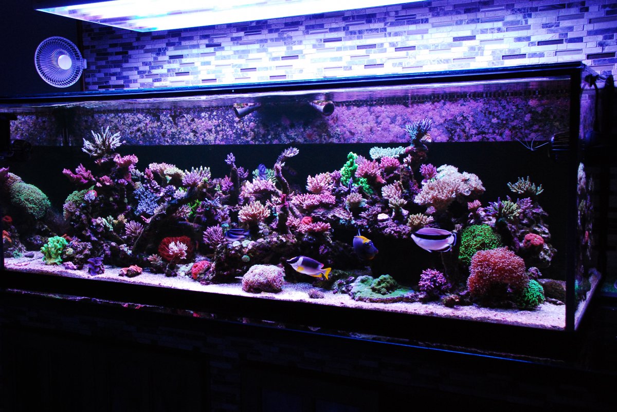 DSC_0941.JPG