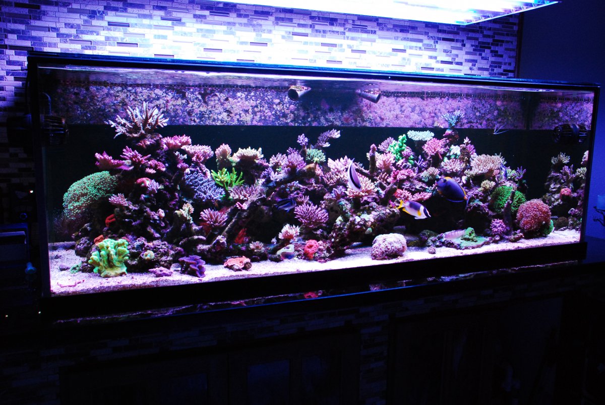 DSC_0943.JPG