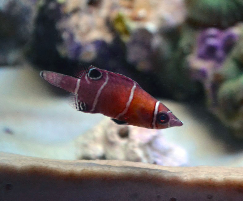 DSC_0958.JPG