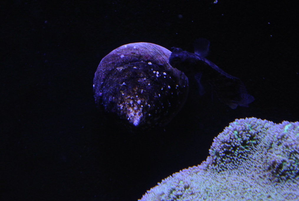 DSC_1011.JPG