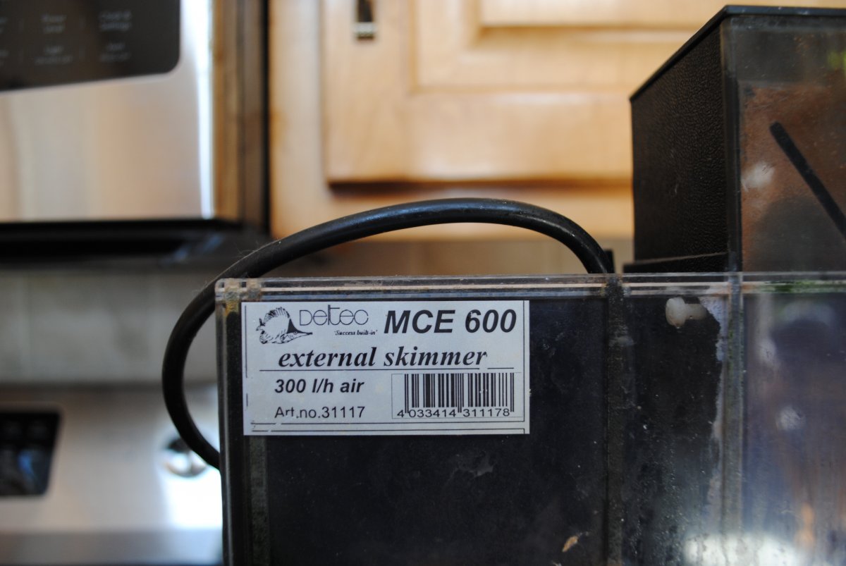 DSC_1016.JPG