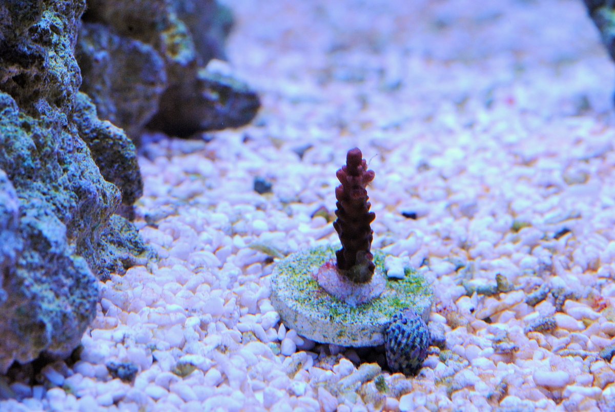 DSC_1059.JPG