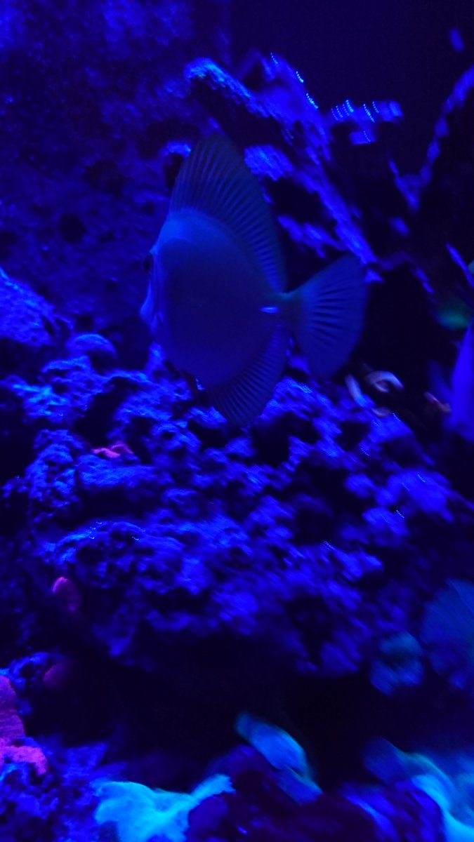 DSC_1124.JPG