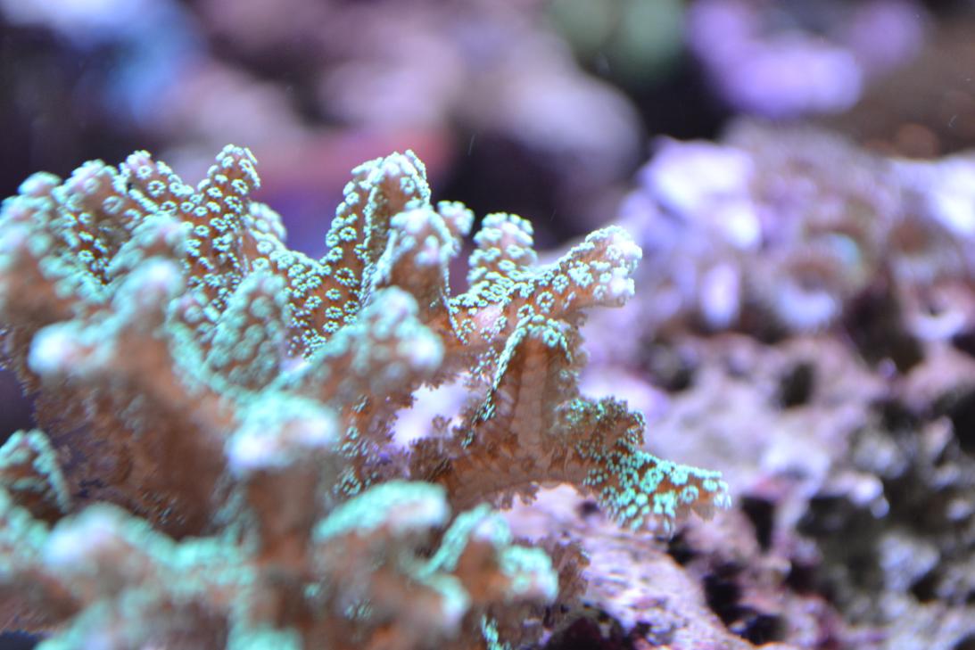 DSC_1146.jpg