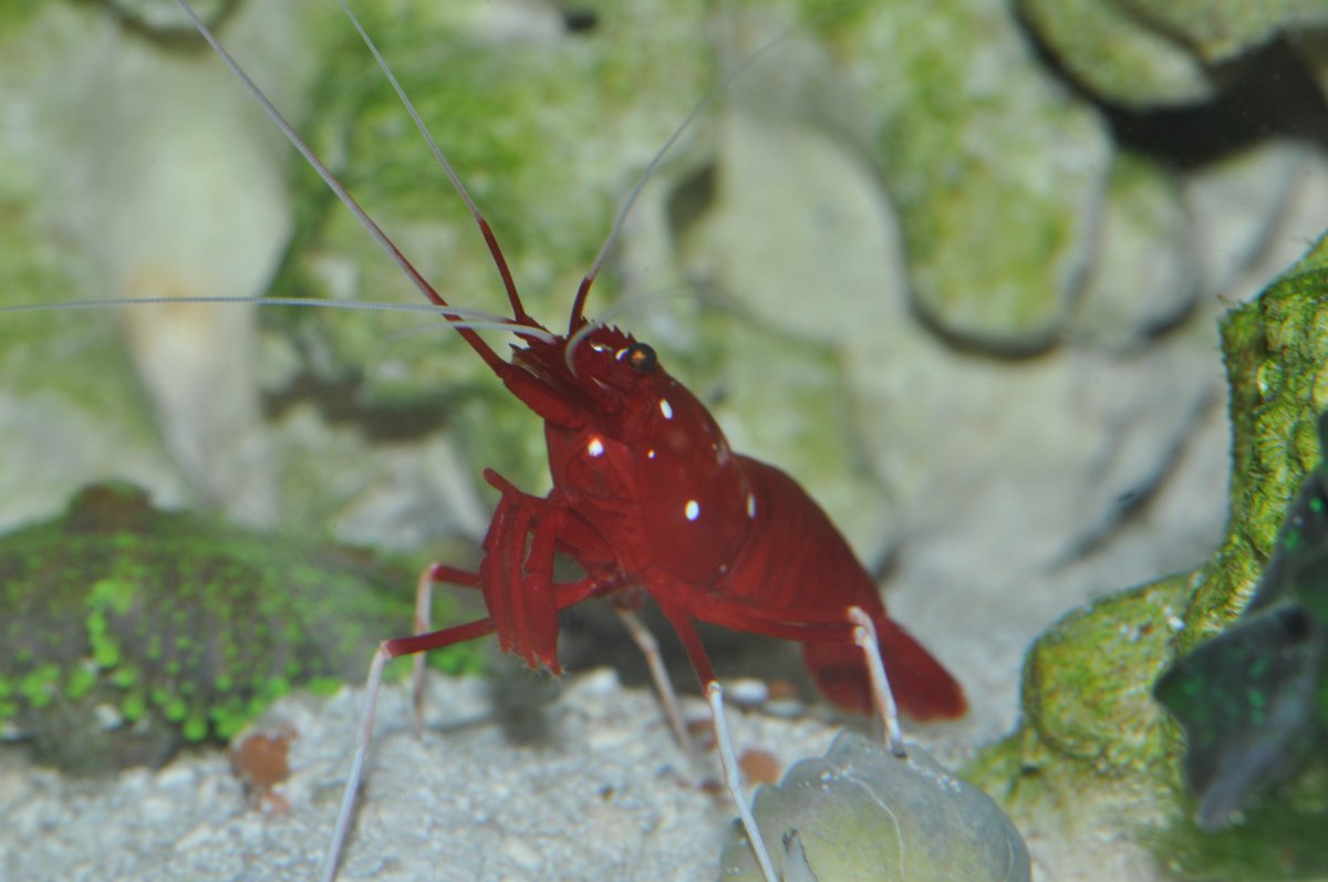 DSC_1240.JPG
