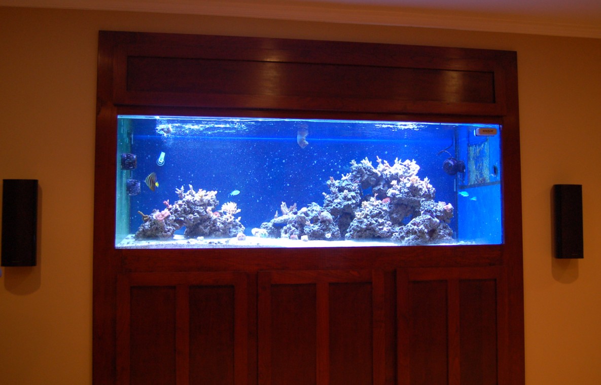 DSC_1441_Cropped.JPG