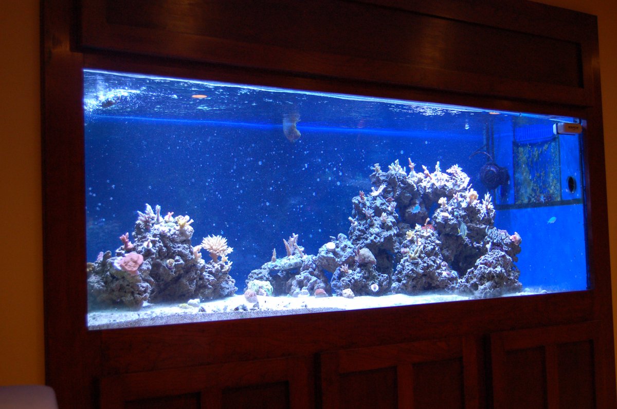 DSC_1449.JPG