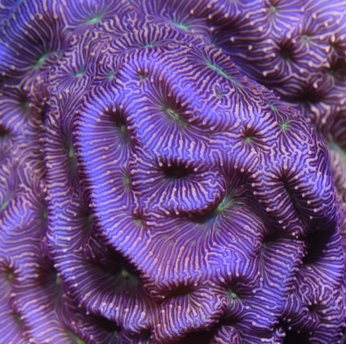 DSC_1665.JPG