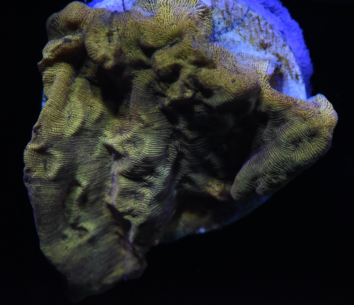 DSC_1671.JPG