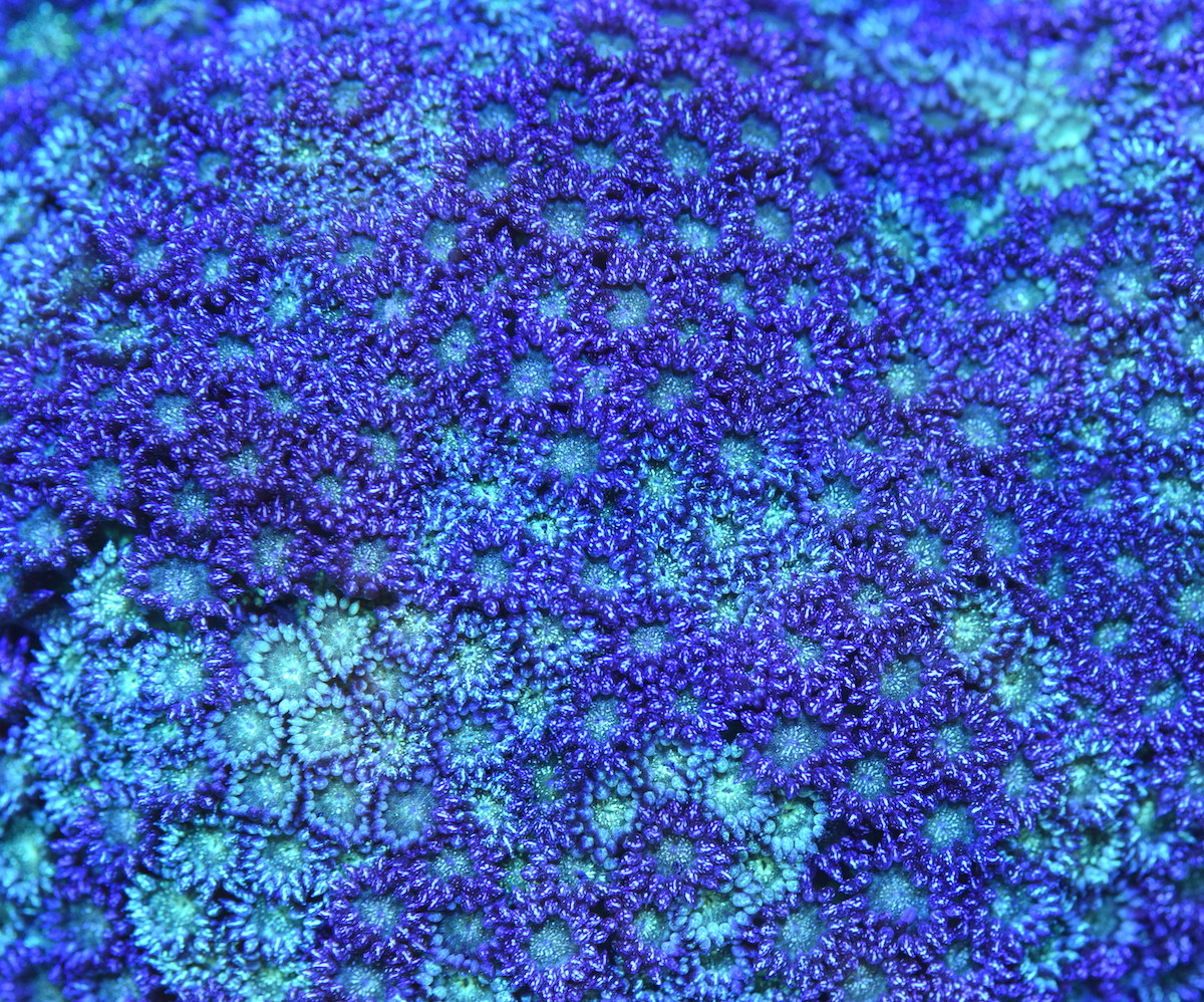 DSC_1725.JPG