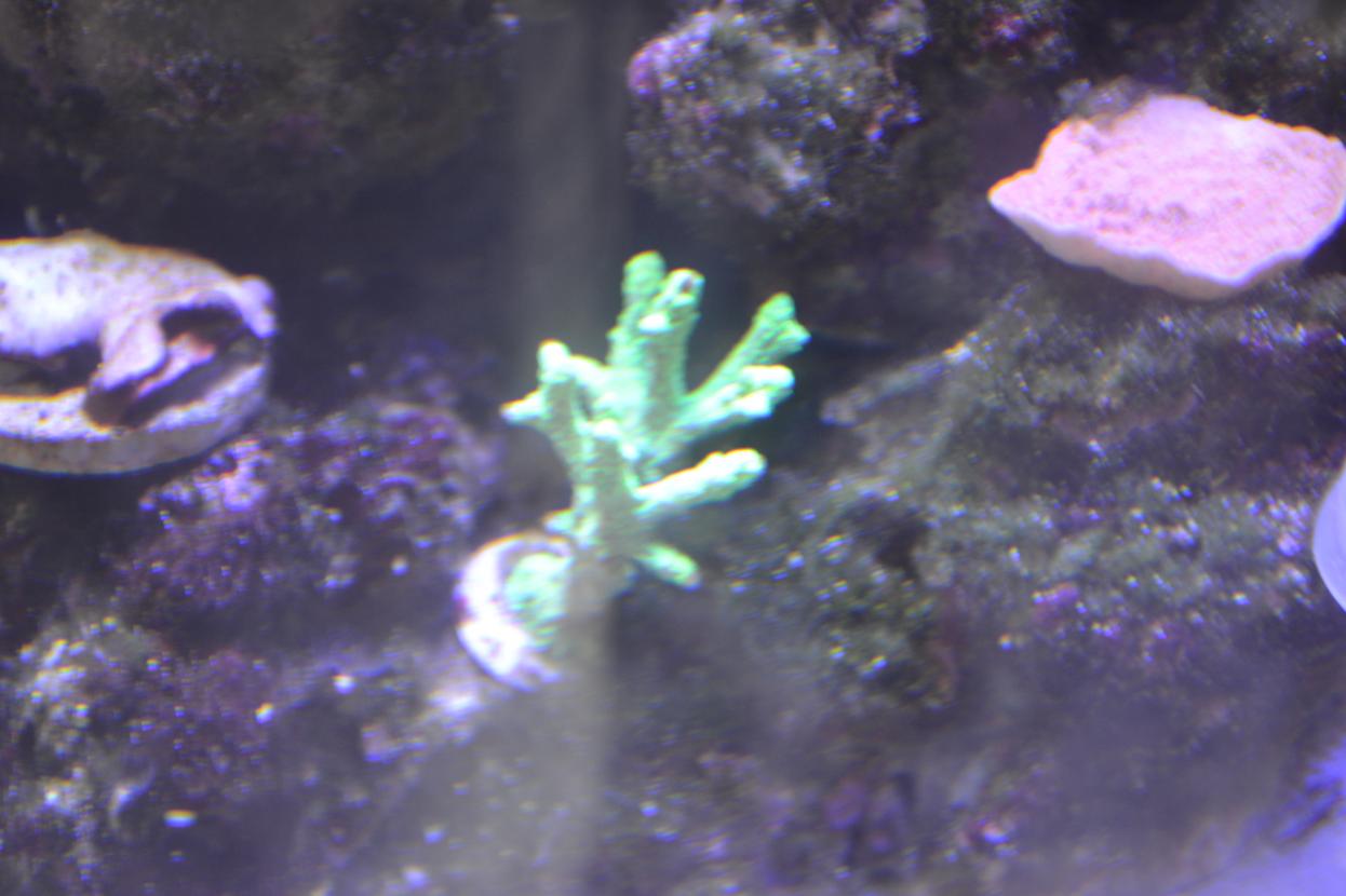 DSC_1806.jpg