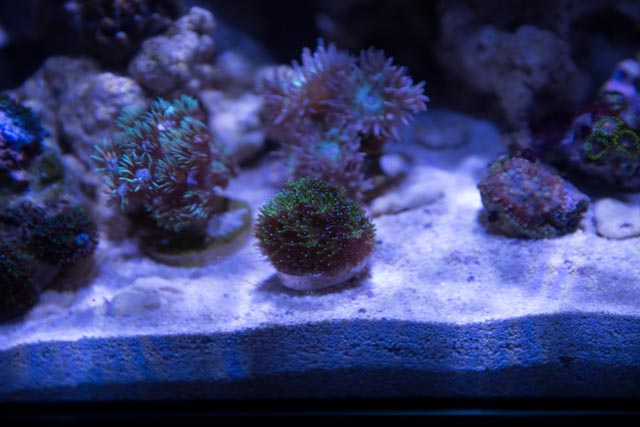 DSC_1978.jpg