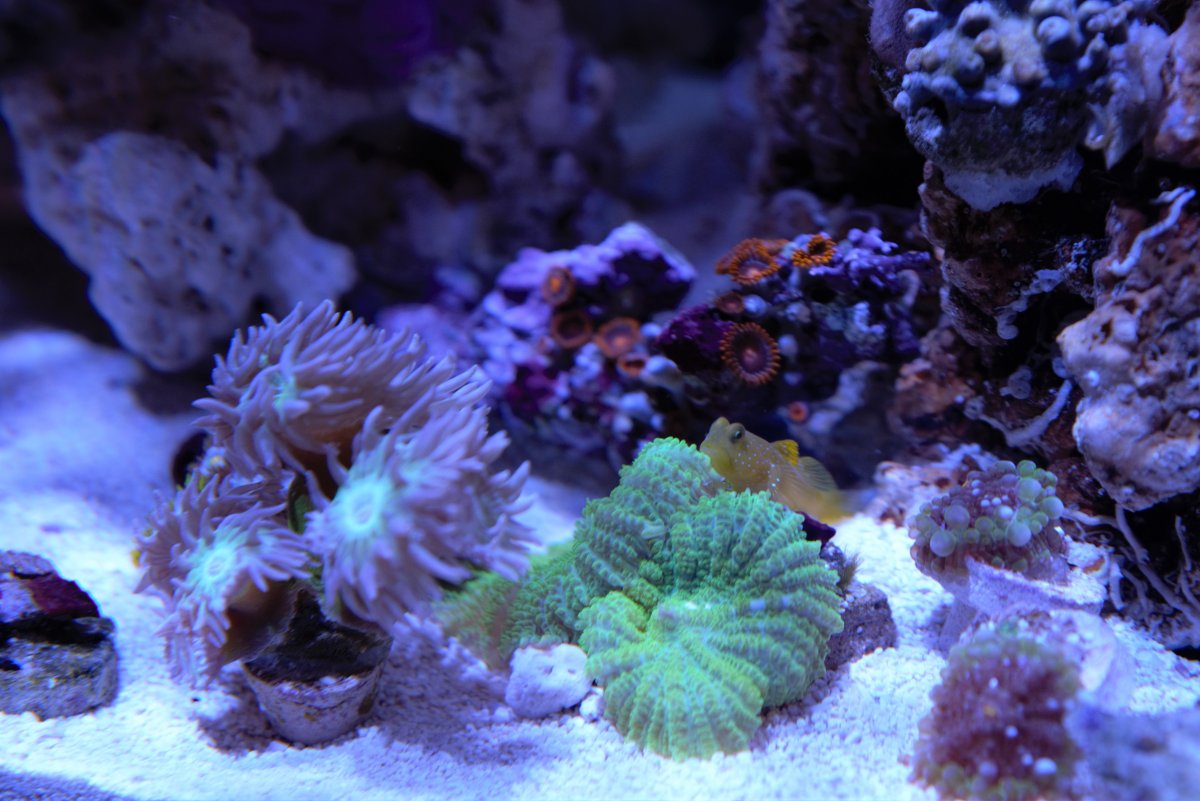 DSC_2030.jpg