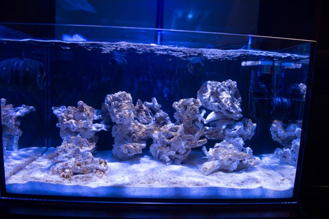 DSC_2093-2.jpg