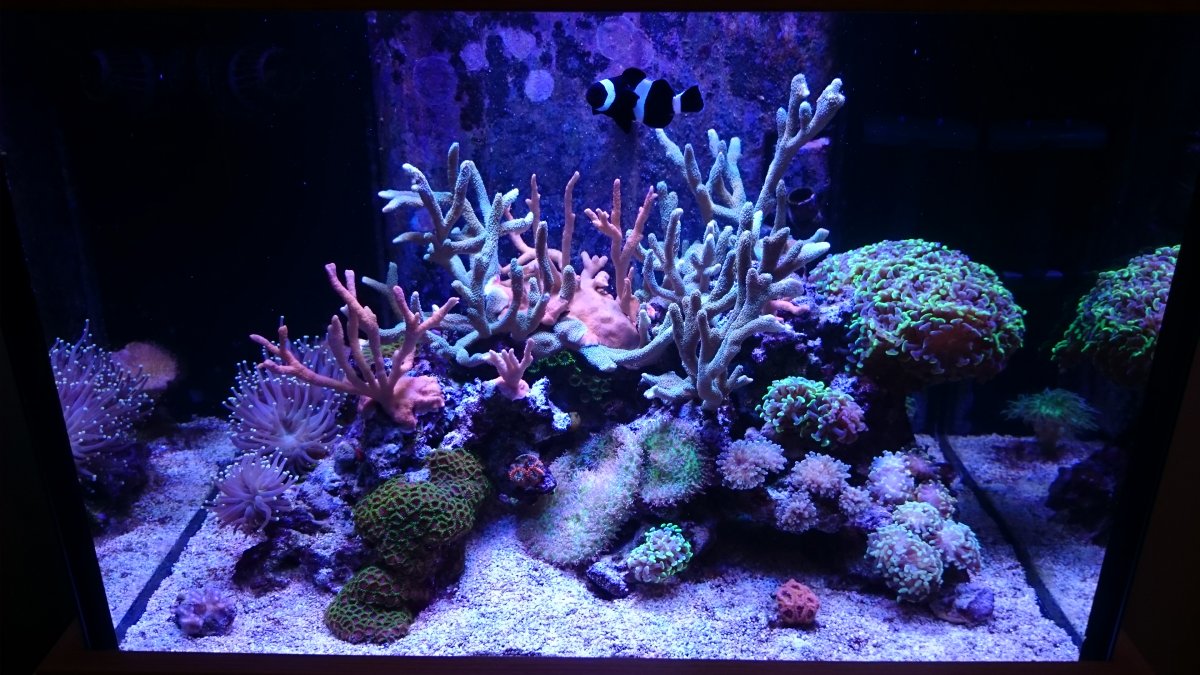 DSC_2213.JPG
