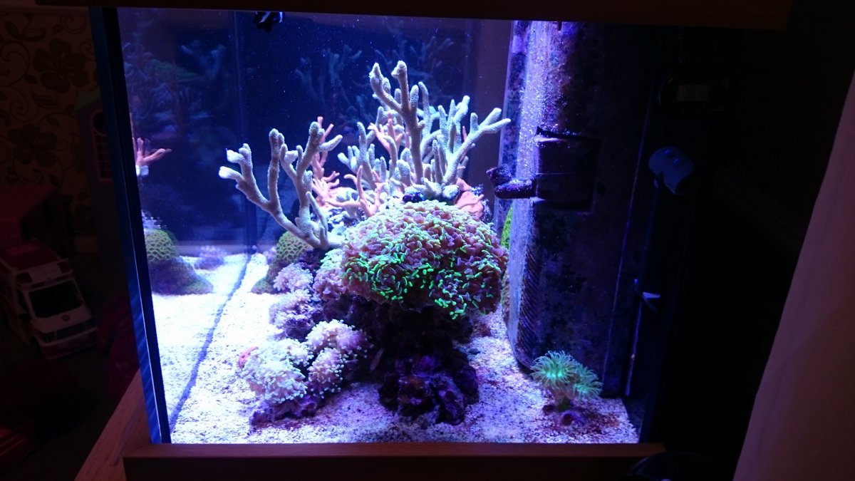 DSC_2214.JPG