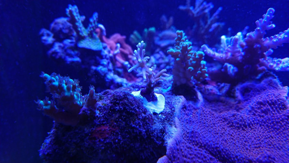 DSC_2426.JPG