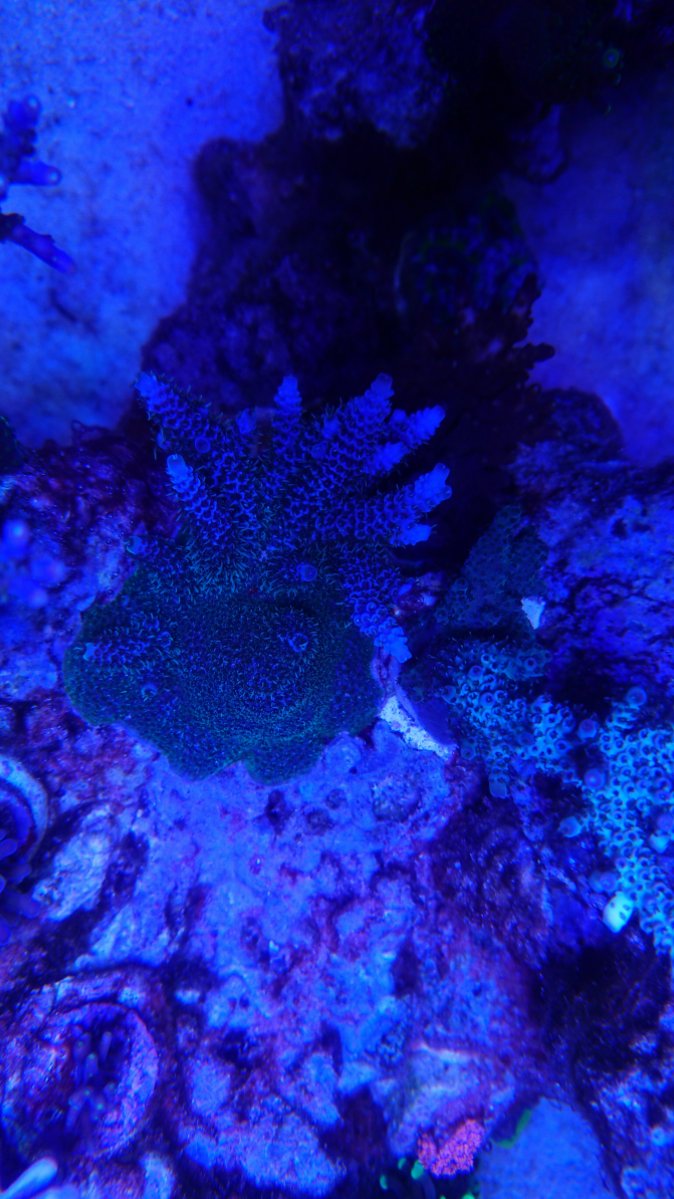 DSC_2645.JPG