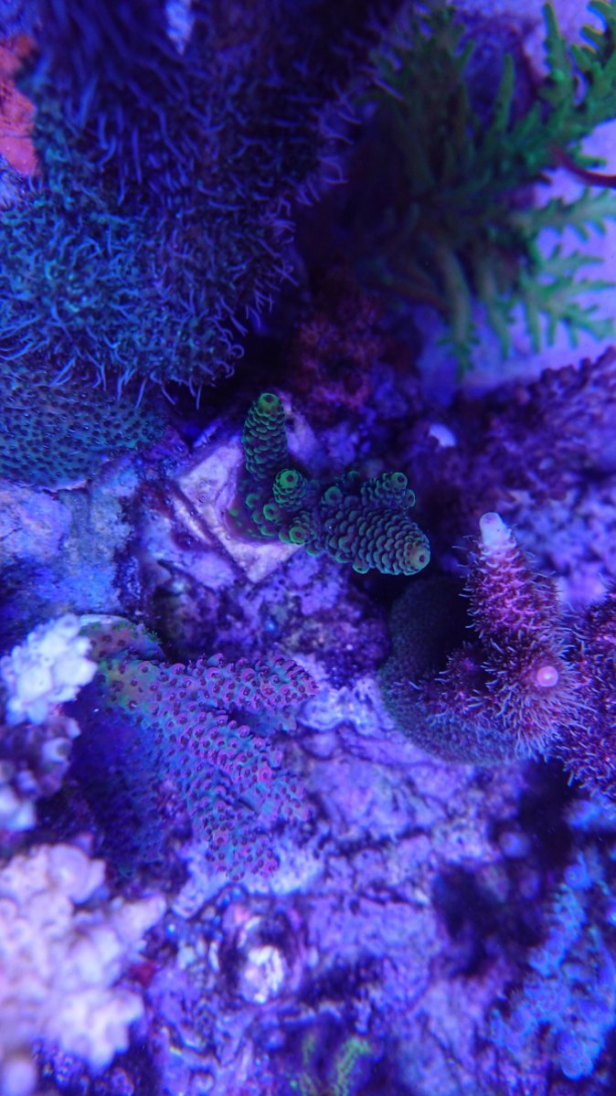 DSC_2652.JPG