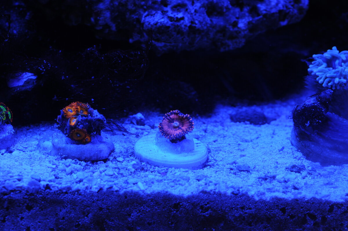 DSC_2665.JPG