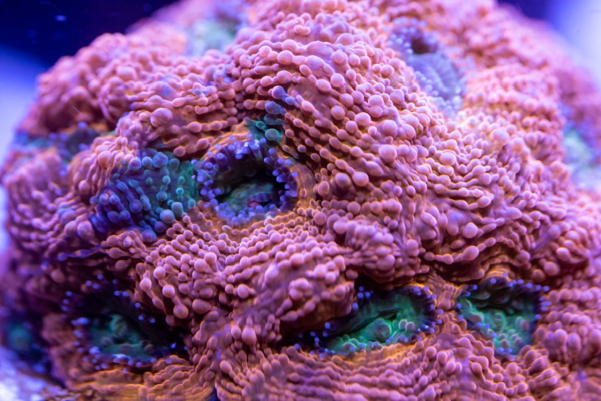 DSC_2723.jpeg