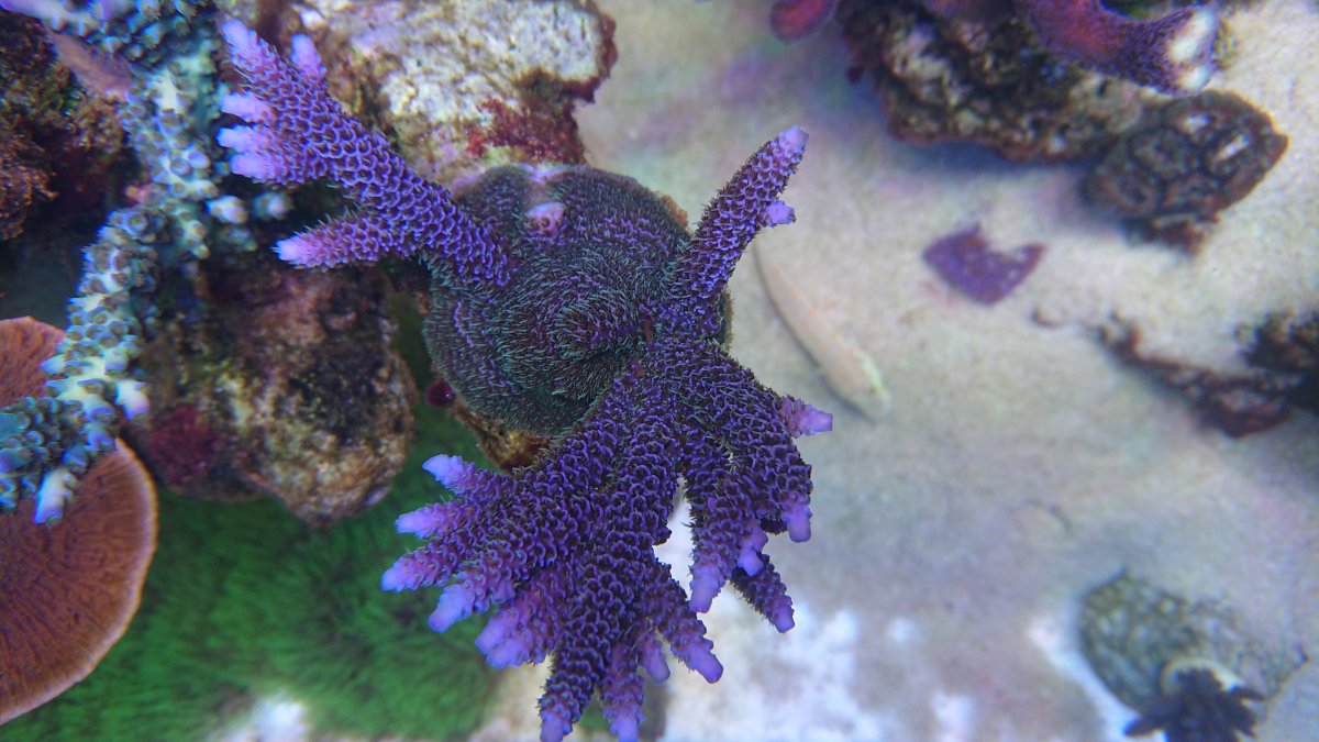 DSC_2798.JPG