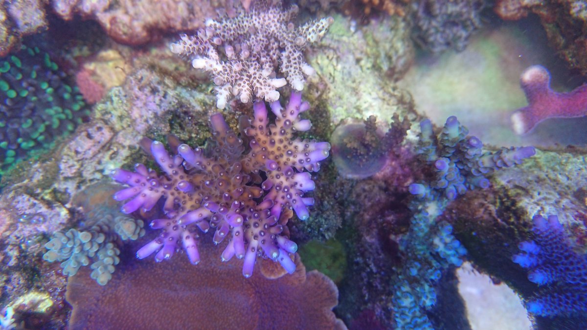 DSC_2802.JPG