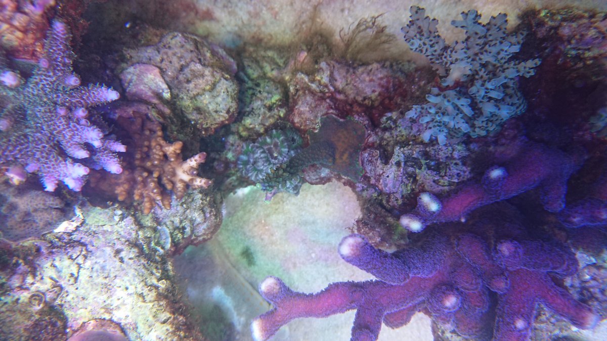DSC_2808.JPG