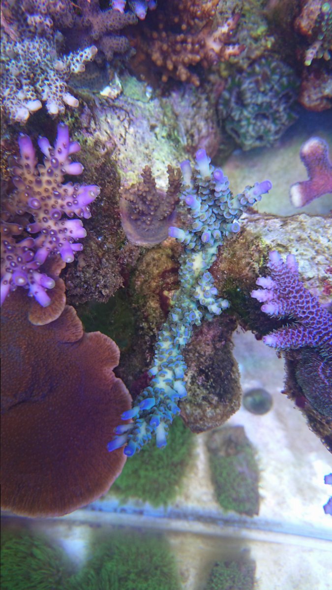 DSC_2811.JPG