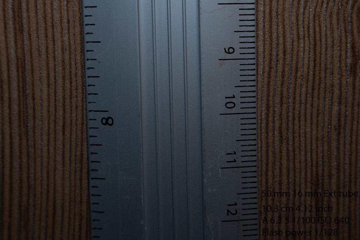 DSC_3313.jpg