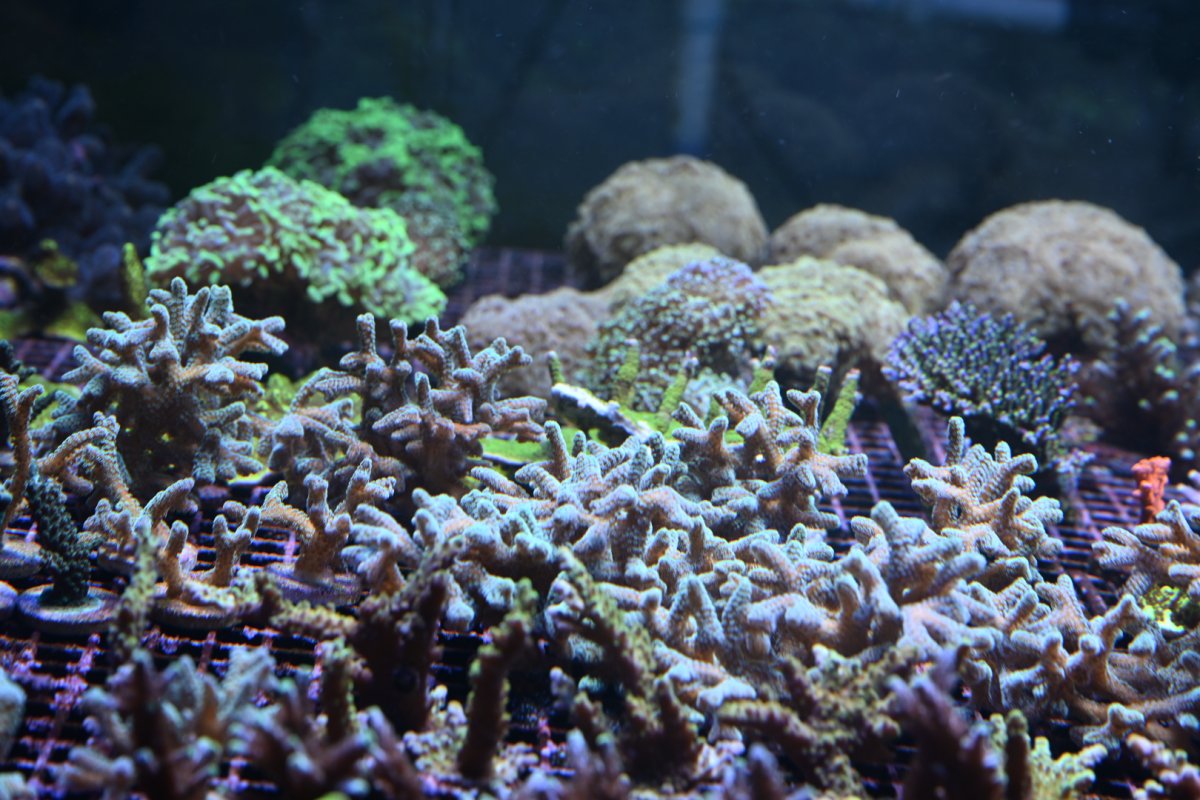 DSC_3417.JPEG