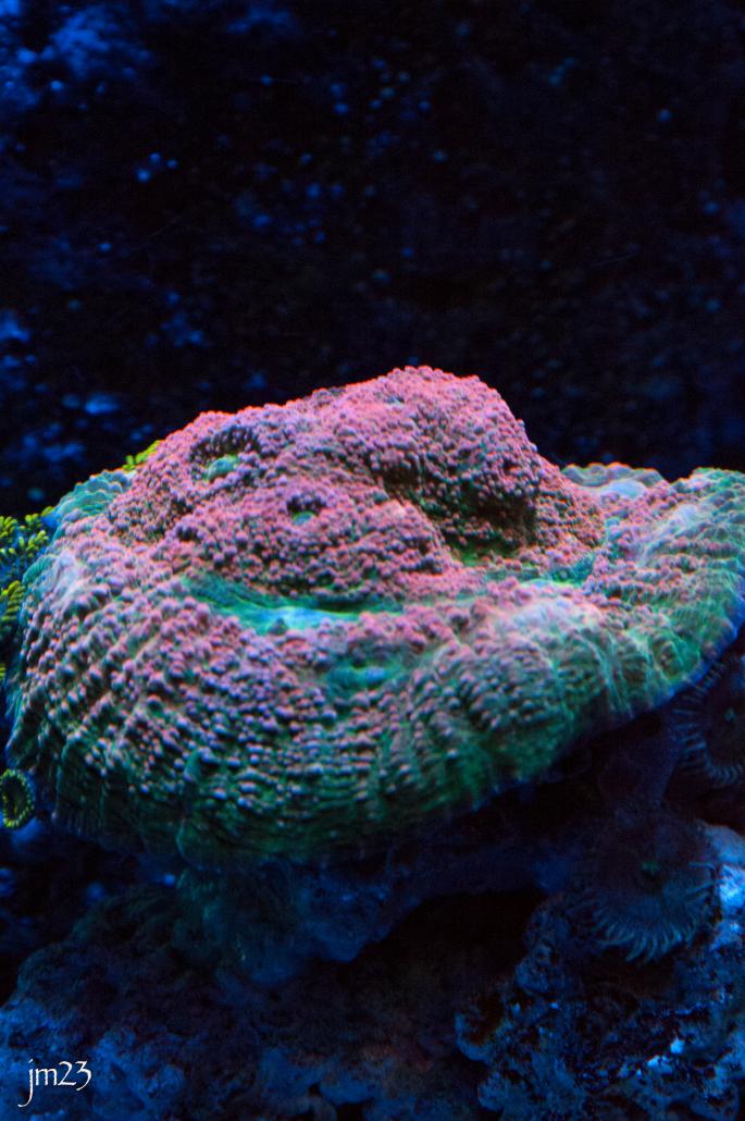 DSC_3442.jpg