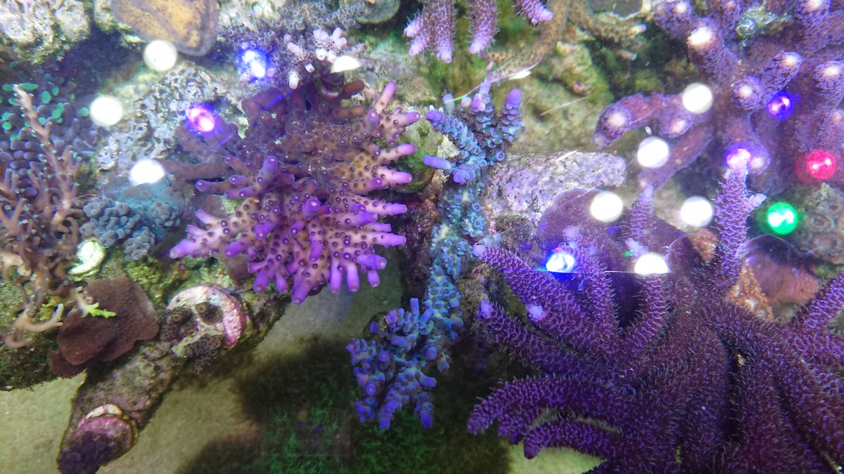 DSC_3790.JPG