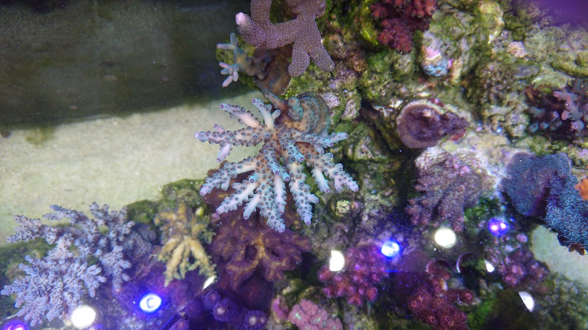 DSC_3794.JPG