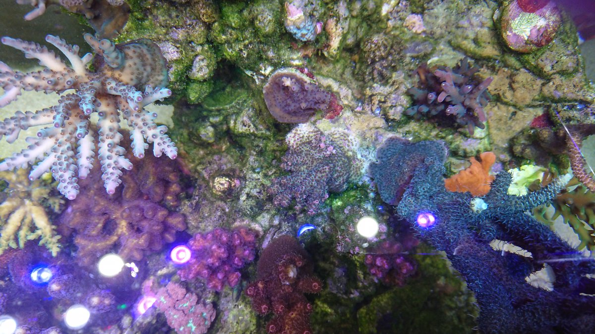 DSC_3795.JPG