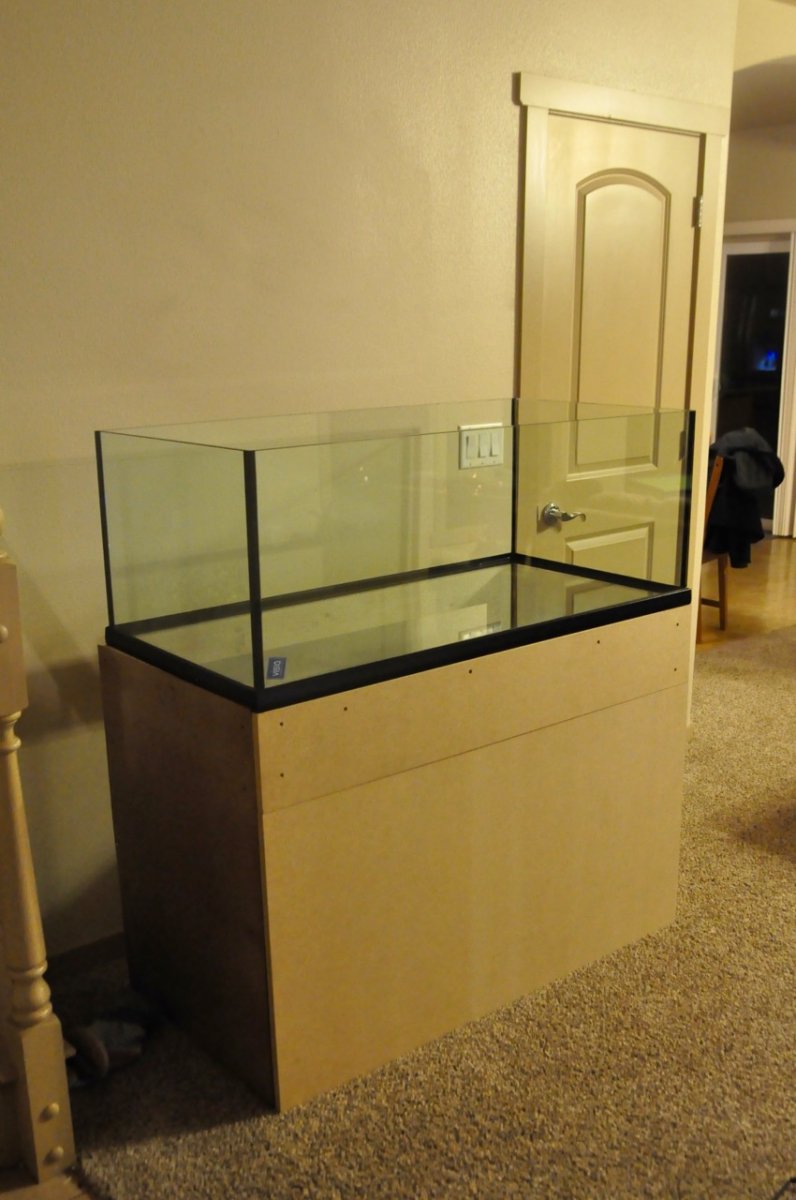 DSC_3973.jpg