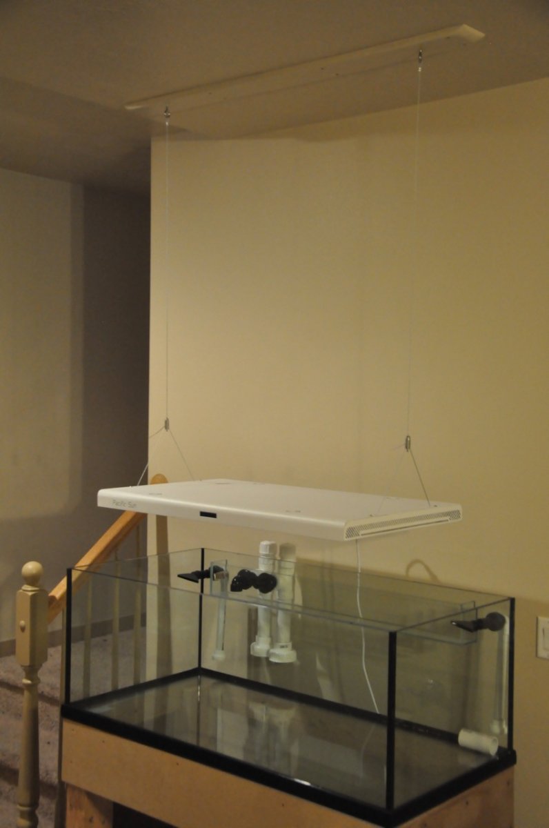 DSC_4029.jpg