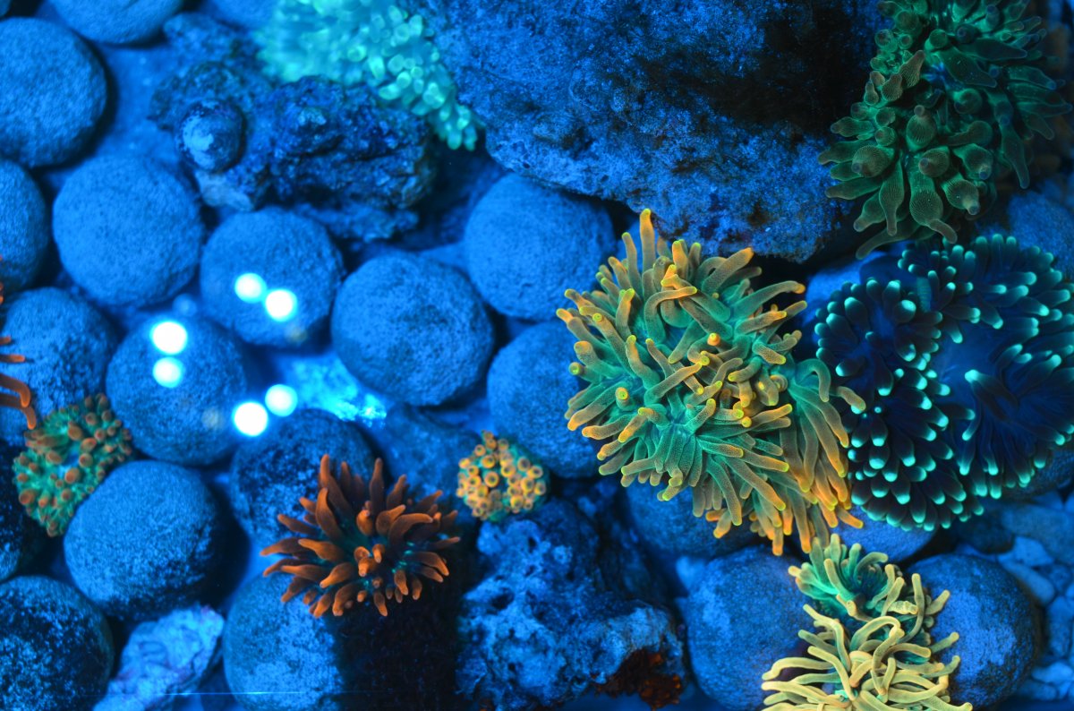 DSC_4148.JPG
