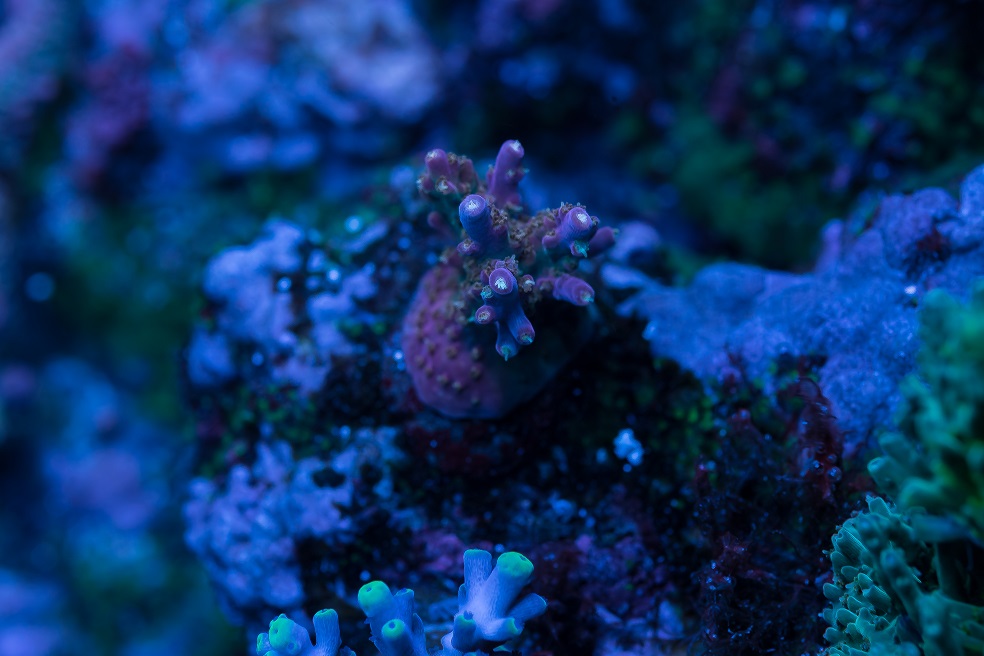 DSC_4549_1.jpg