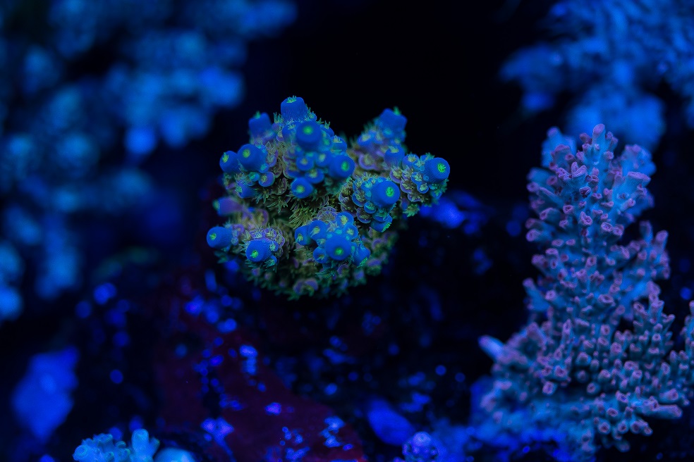 DSC_4609_1.jpg
