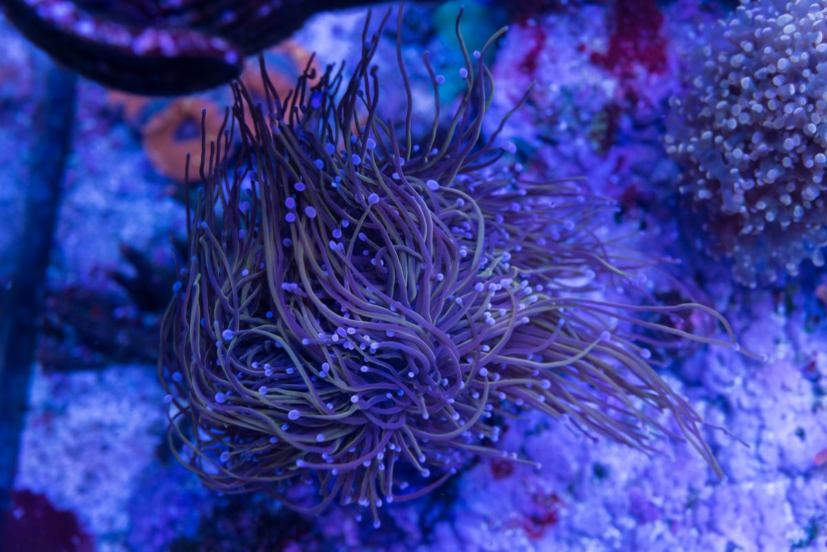 DSC_4818_1.jpg
