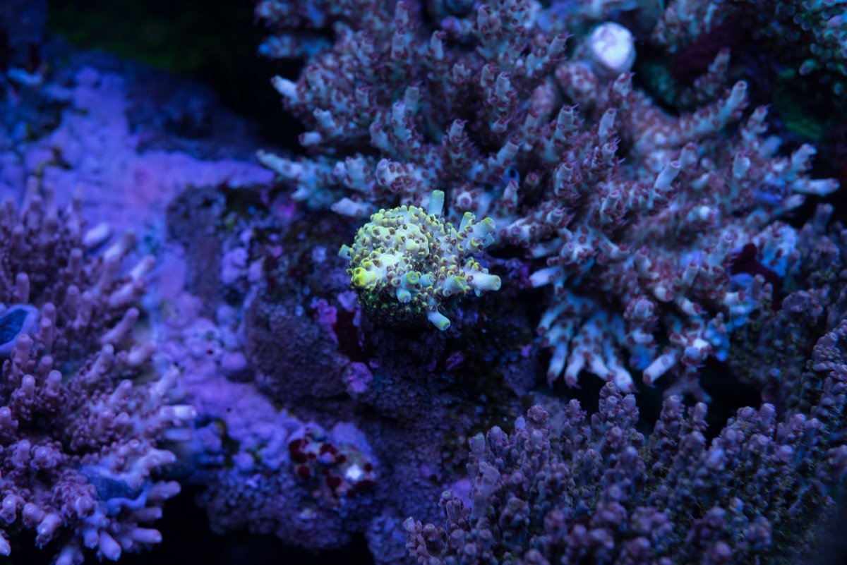 DSC_4858_1.jpg