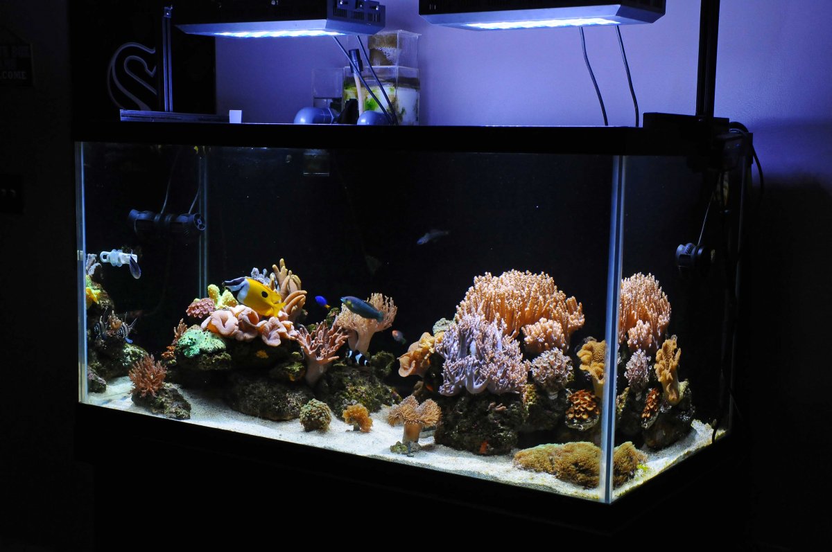 DSC_4887_0701_edited-1.jpg
