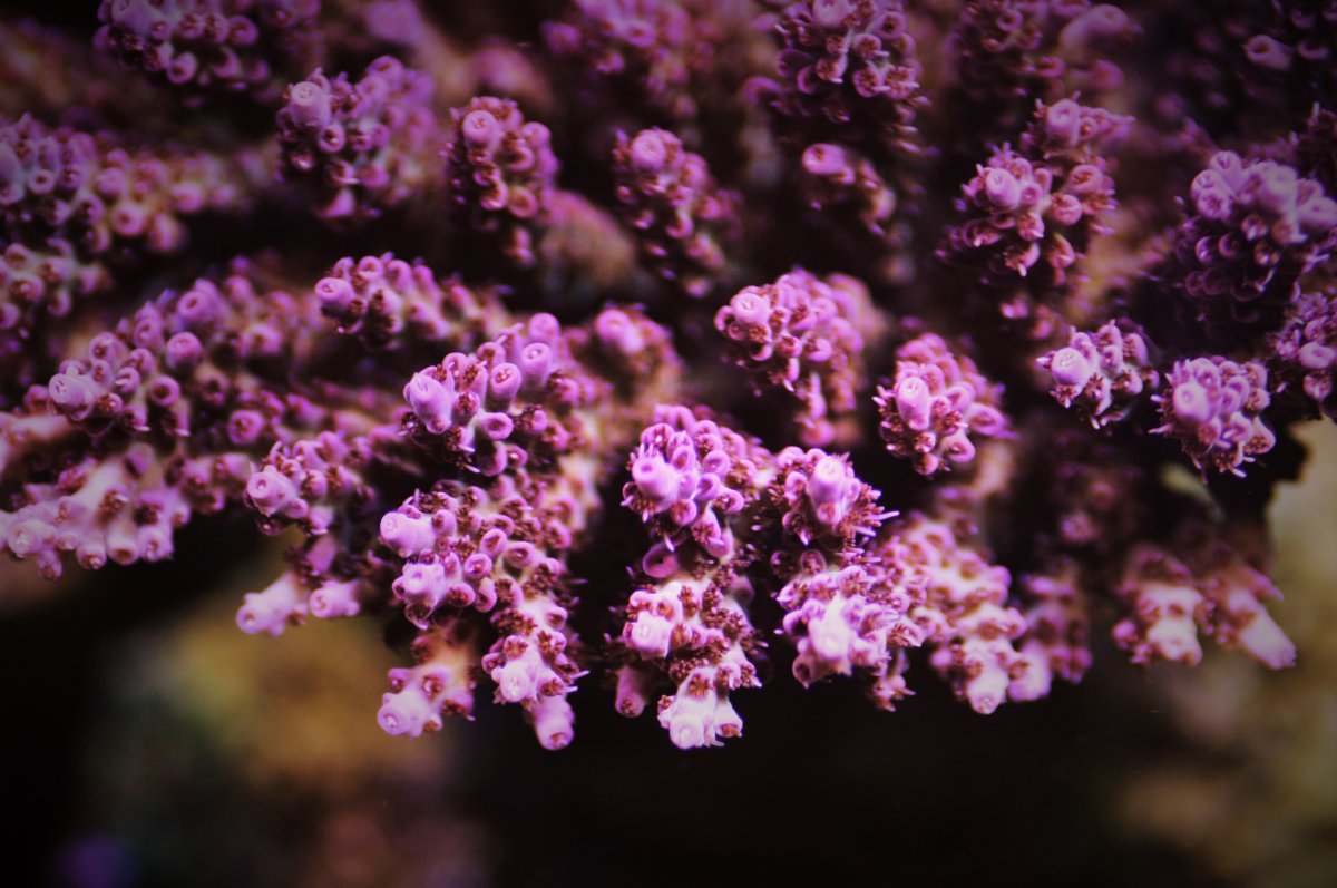 DSC_5142.jpg