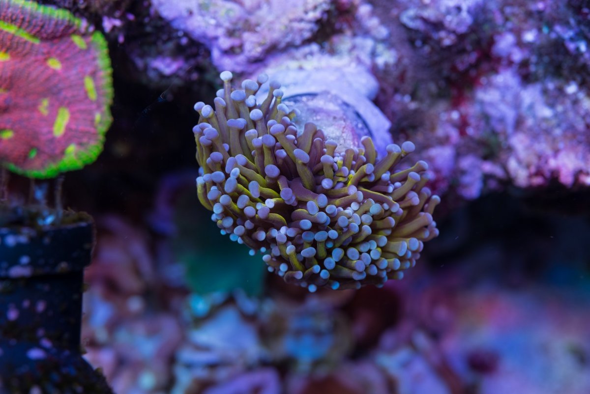 DSC_5344_1.jpg