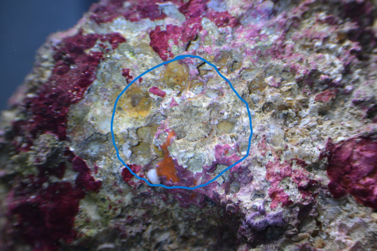 DSC_5671-b.JPG