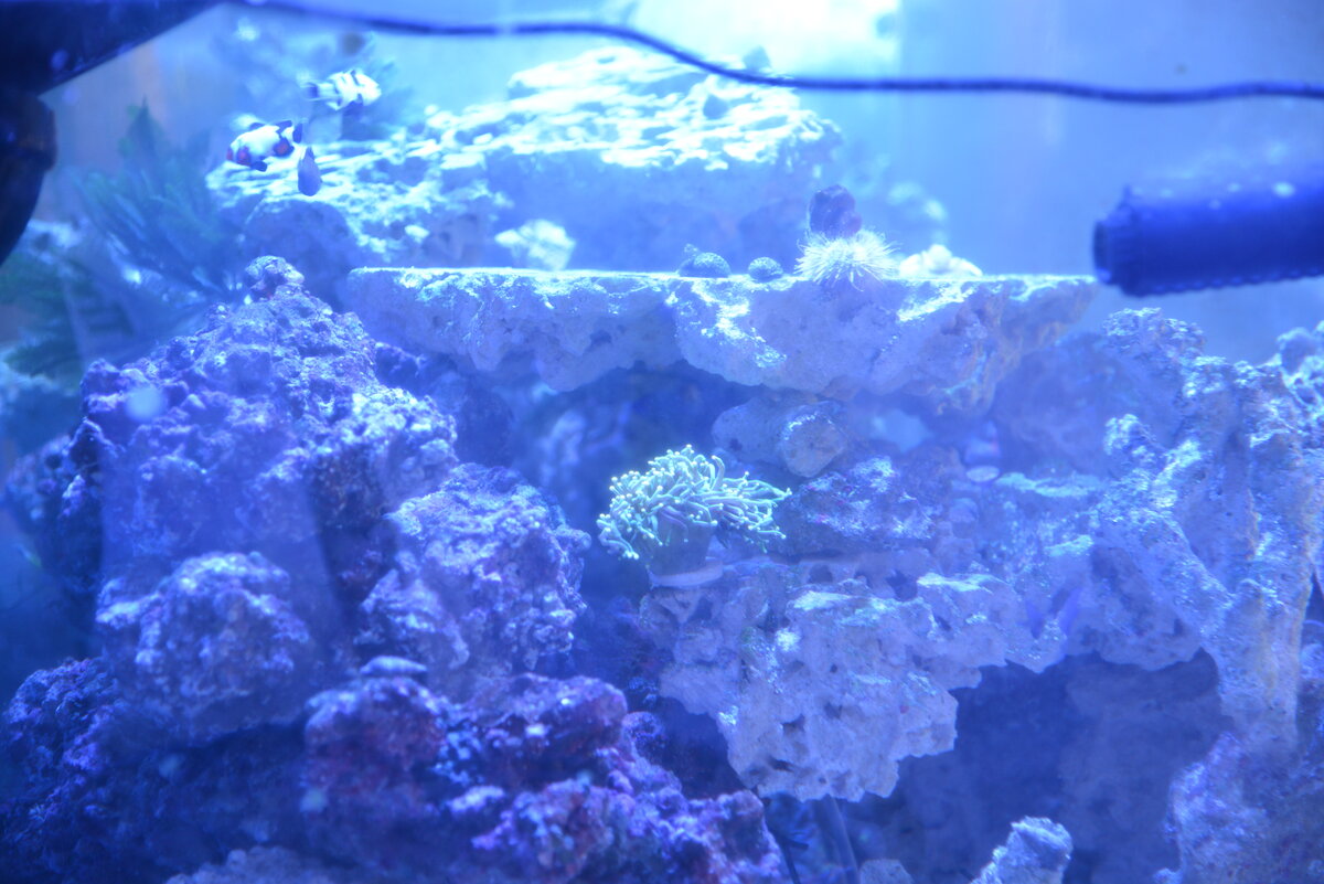 DSC_5703.JPG